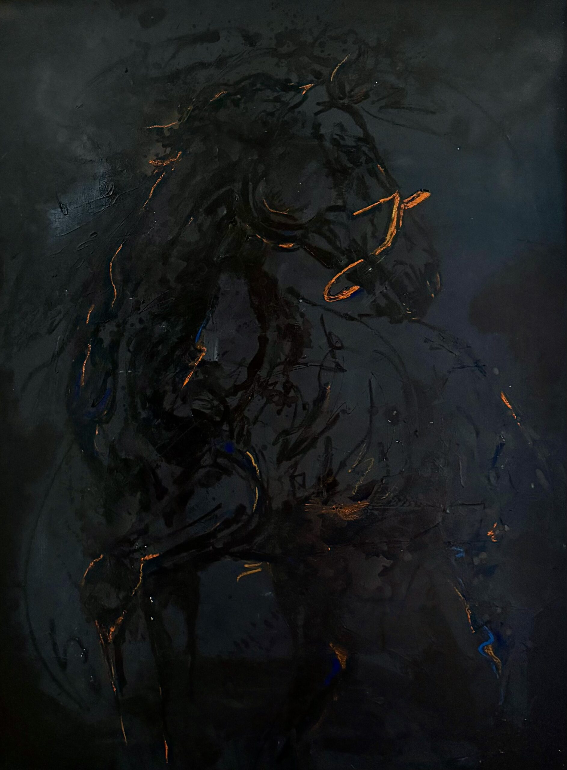 Noir Lumière/Le Souffle du Silence